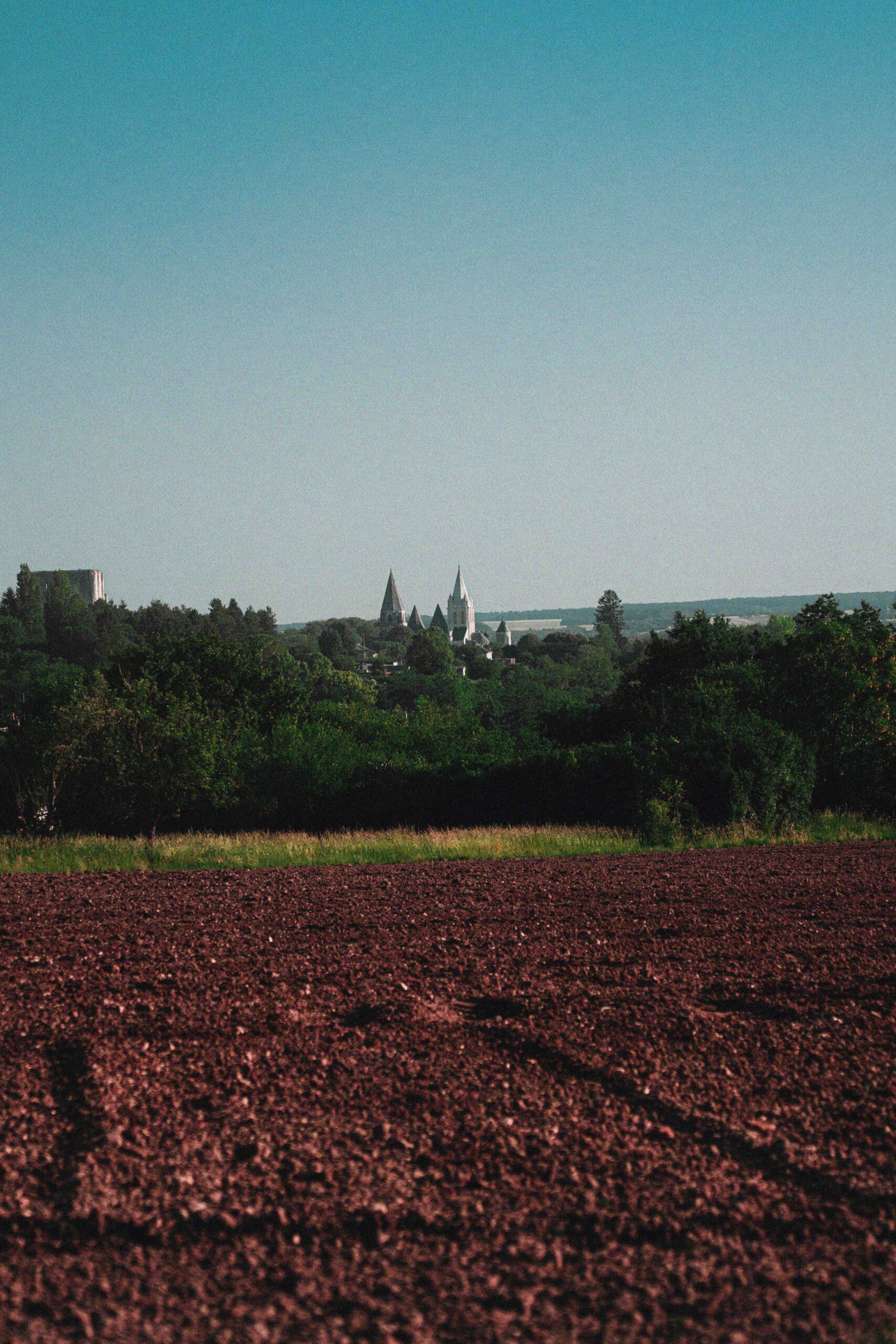 Parcelle face à la Cité Royale de Loches, là où renaît aujourd'hui le vignoble lochois.